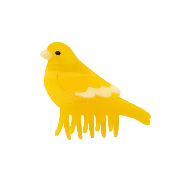 Pince Canari