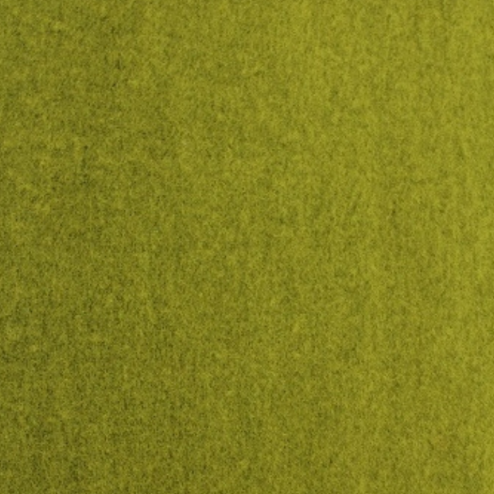 Echarpe Verte Bord Brodé