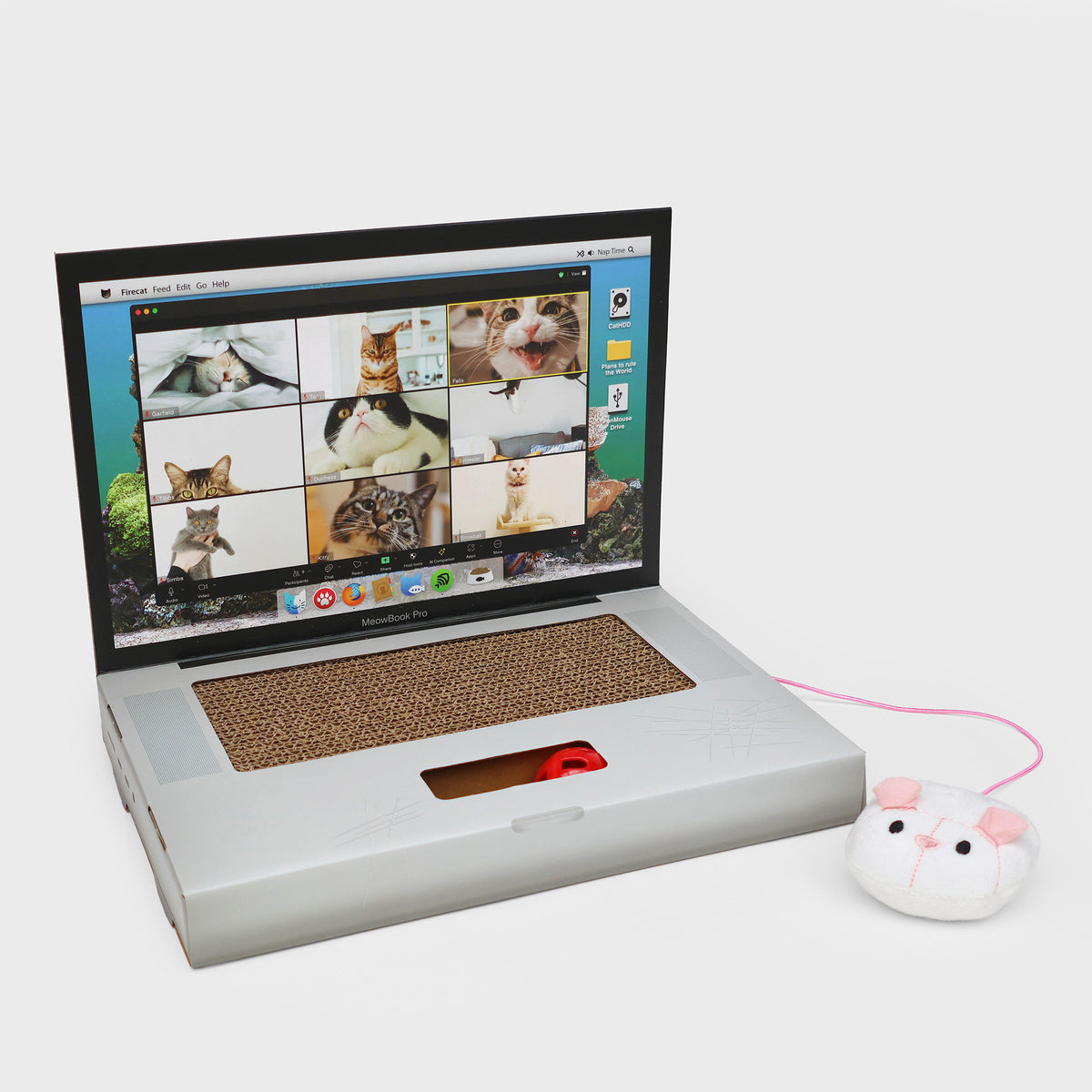 Griffoir Chat Laptop