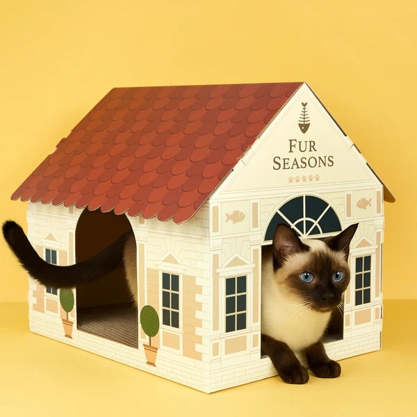 Maison et Grattoir Chat Fur Season