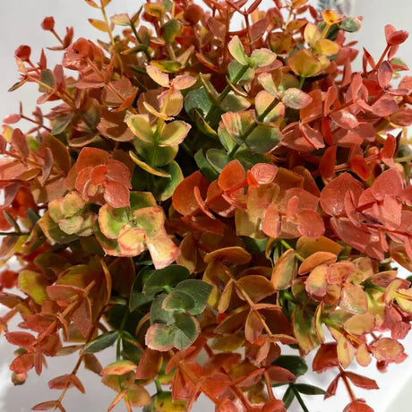 Plante Autumn