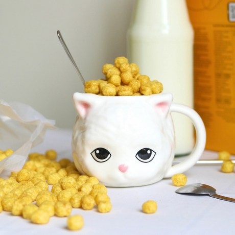 Mug chat