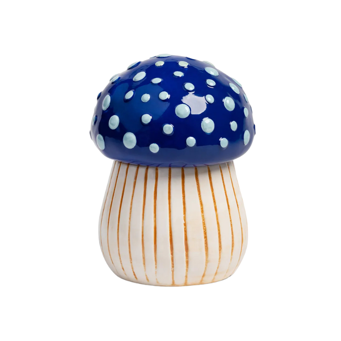 Boite Champignon Magique