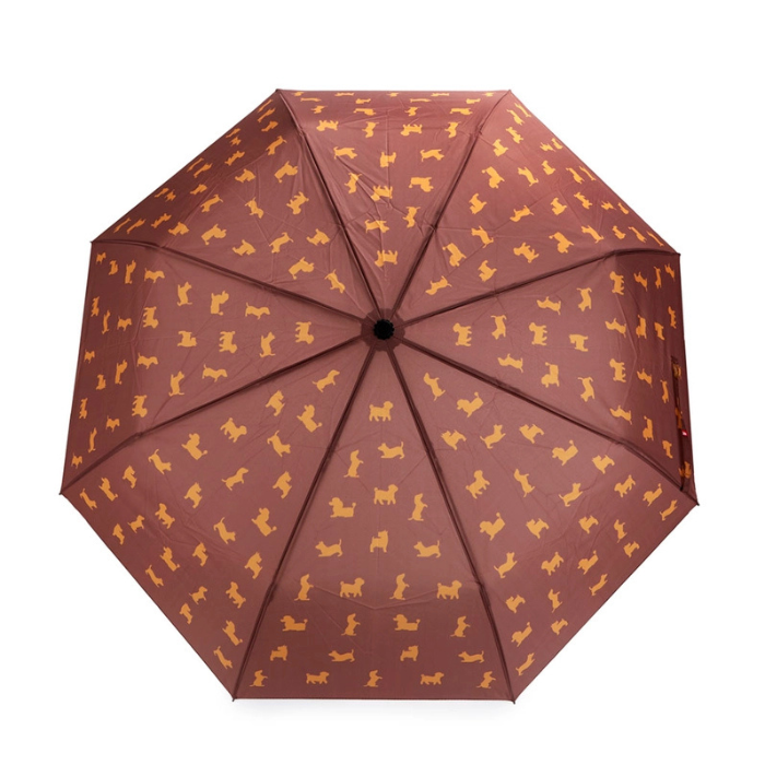 Parapluie Teckel