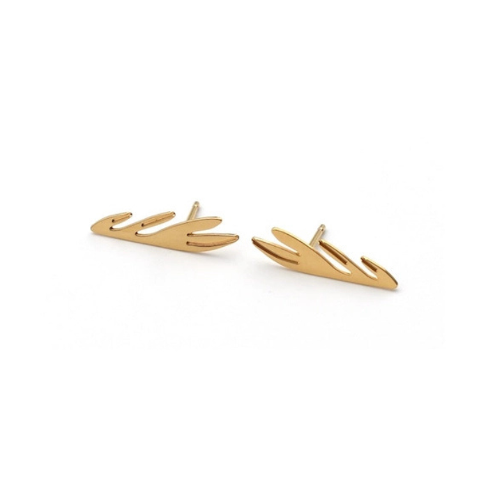 Puces d'oreilles Embrun