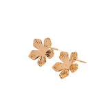 Boucles d'Oreilles Jazmin