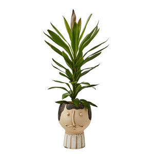 Cache-pot visage