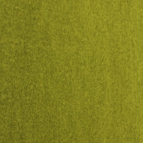 Echarpe Verte Bord Brodé