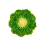 Eponge Coréenne : Pack Douceur