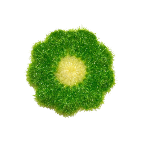 Eponge Coréenne : Pack Douceur