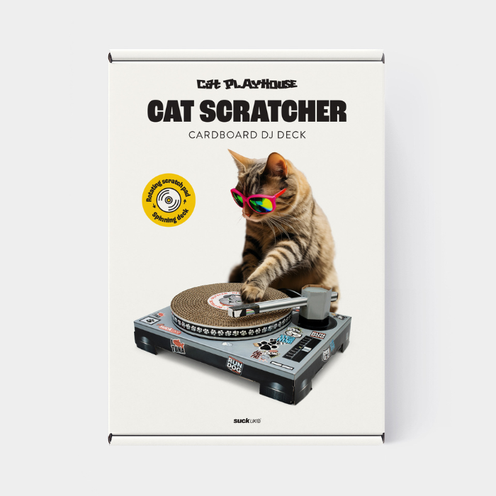 Griffoir Chat DJ