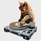 Griffoir Chat DJ