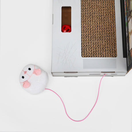 Griffoir Chat Laptop