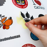 Griffoir Chat Laptop
