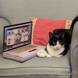 Griffoir Chat Laptop