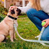 Laisse pour Chien Out Of Office