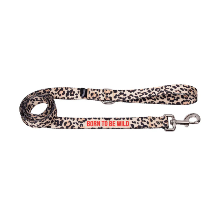 Laisse pour Chien Born To Be Wild