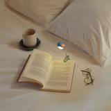 Lampe de Lecture Oiseau