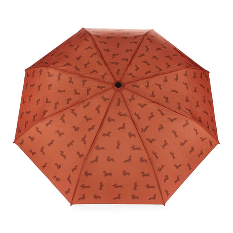Parapluie Teckel