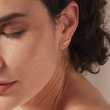 Puces Asymétriques Calice