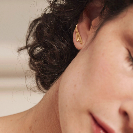 Puces Asymétriques Calice
