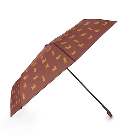 Parapluie Teckel