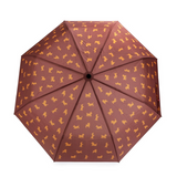 Parapluie Teckel