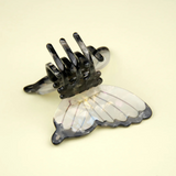 Pince Papillon Blanc